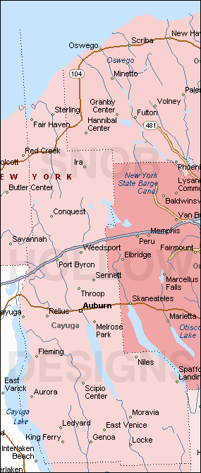 Cayuga County New York map