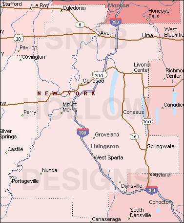Livingston County New York map